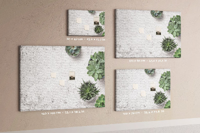 Tableau affichage liège Plantes en pot sur fond gris