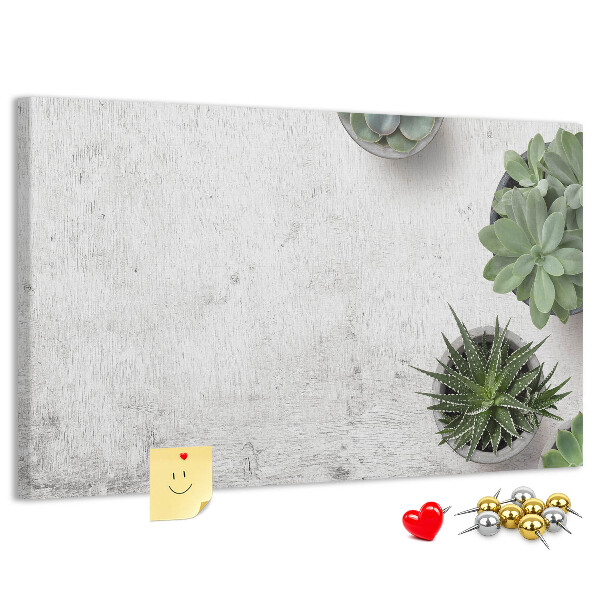 Tableau affichage liège Plantes en pot sur fond gris
