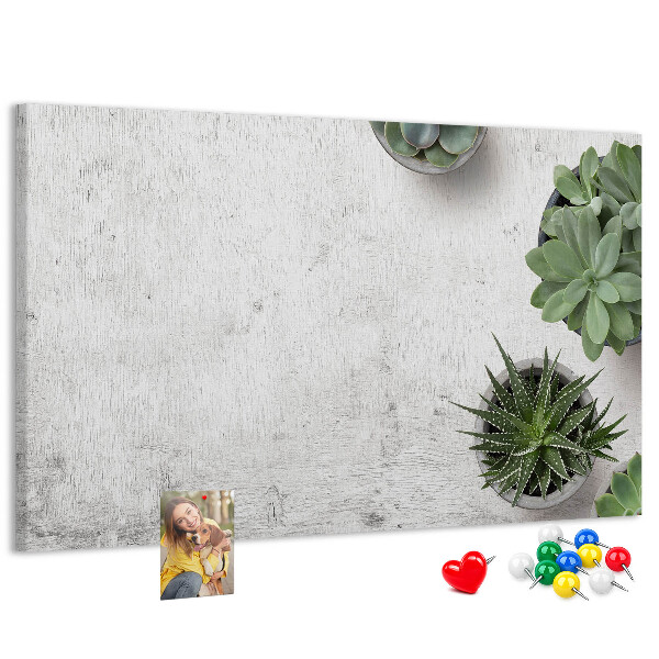Tableau affichage liège Plantes en pot sur fond gris
