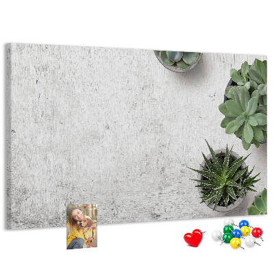 Tableau affichage liège Plantes en pot sur fond gris