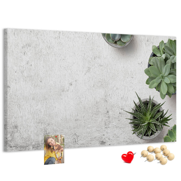 Tableau affichage liège Plantes en pot sur fond gris