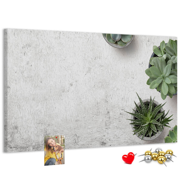 Tableau affichage liège Plantes en pot sur fond gris