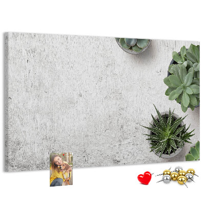 Tableau affichage liège Plantes en pot sur fond gris