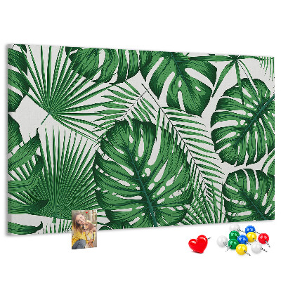 Tableau en liège De nombreuses feuilles de plantes tropicales en vert