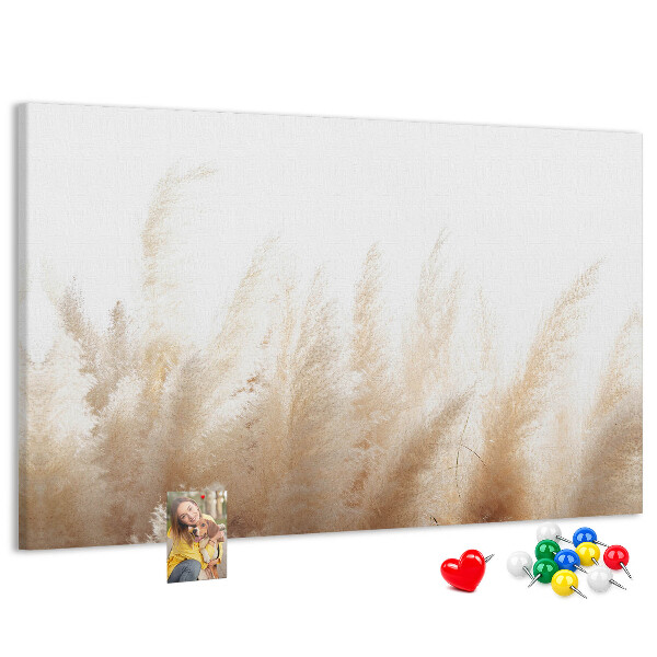 Tableau affichage liège Herbes délicates sur fond clair