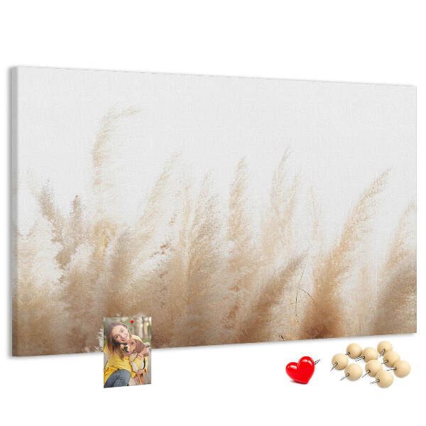 Tableau affichage liège Herbes délicates sur fond clair
