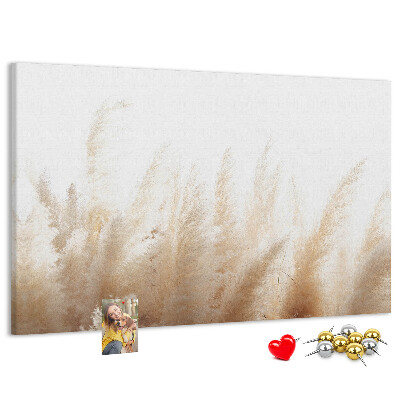 Tableau affichage liège Herbes délicates sur fond clair