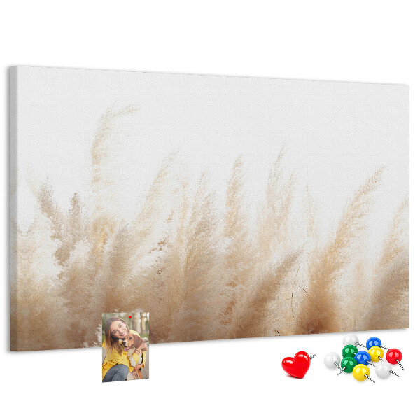 Tableau affichage liège Herbes délicates sur fond clair