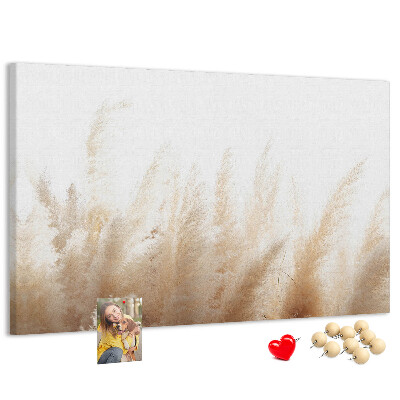 Tableau affichage liège Herbes délicates sur fond clair