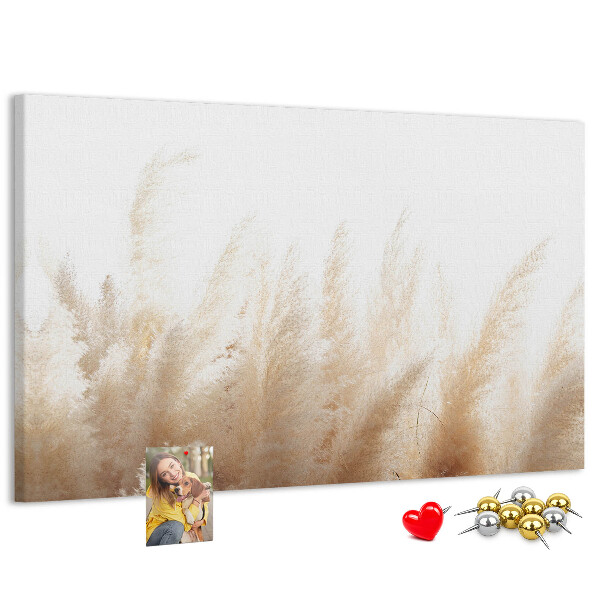 Tableau affichage liège Herbes délicates sur fond clair