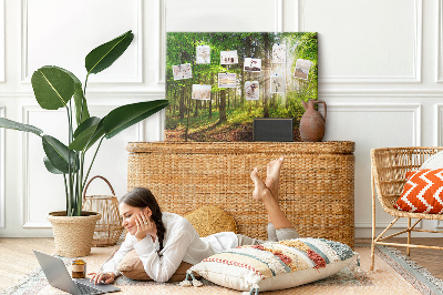 Tableau affichage liège Rayons de soleil dans la forêt verte
