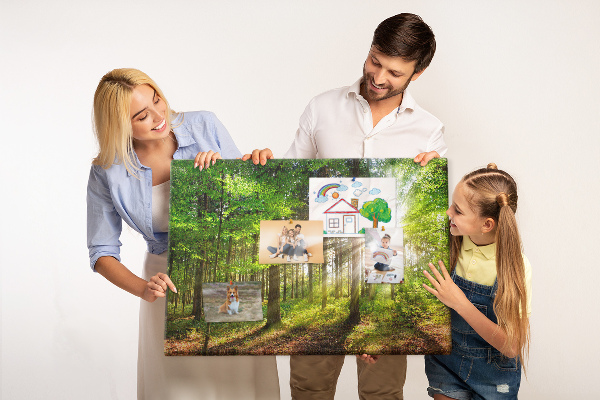 Tableau affichage liège Rayons de soleil dans la forêt verte