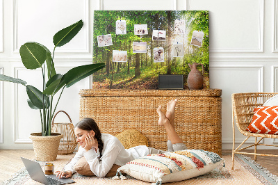 Tableau affichage liège Rayons de soleil dans la forêt verte
