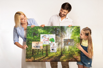 Tableau affichage liège Rayons de soleil dans la forêt verte
