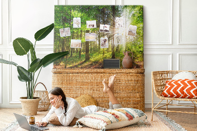 Tableau affichage liège Rayons de soleil dans la forêt verte