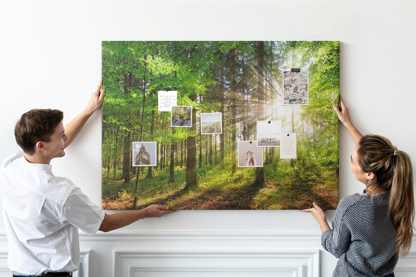 Tableau affichage liège Rayons de soleil dans la forêt verte