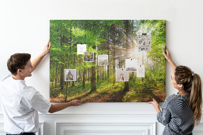 Tableau affichage liège Rayons de soleil dans la forêt verte
