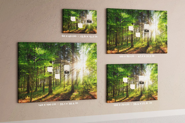 Tableau affichage liège Rayons de soleil dans la forêt verte