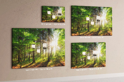 Tableau affichage liège Rayons de soleil dans la forêt verte