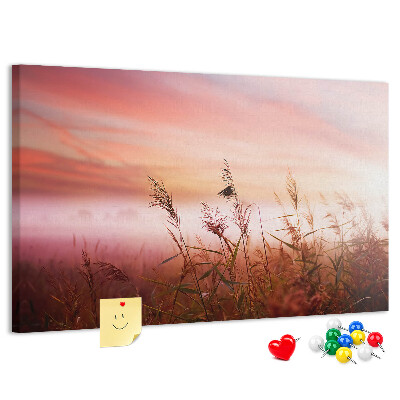 Tableau de liège Coucher de soleil sur un champ herbeux