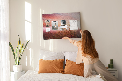 Tableau de liège Coucher de soleil sur un champ herbeux