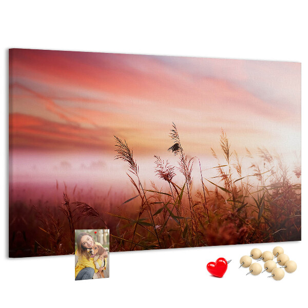 Tableau de liège Coucher de soleil sur un champ herbeux