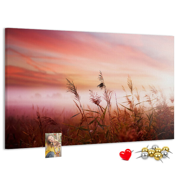 Tableau de liège Coucher de soleil sur un champ herbeux