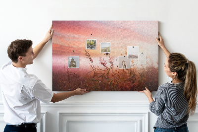 Tableau de liège Coucher de soleil sur un champ herbeux