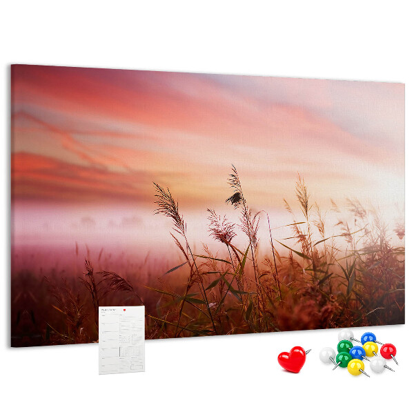 Tableau de liège Coucher de soleil sur un champ herbeux