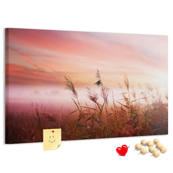 Tableau de liège Coucher de soleil sur un champ herbeux