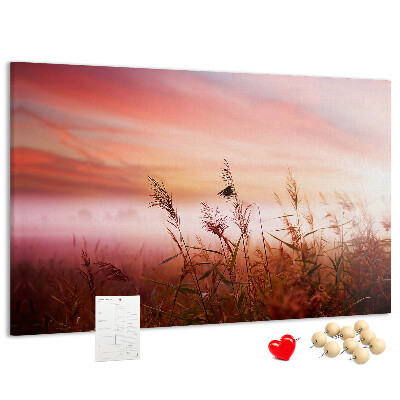 Tableau de liège Coucher de soleil sur un champ herbeux
