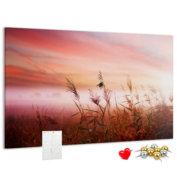 Tableau de liège Coucher de soleil sur un champ herbeux