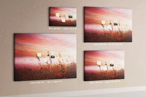 Tableau de liège Coucher de soleil sur un champ herbeux