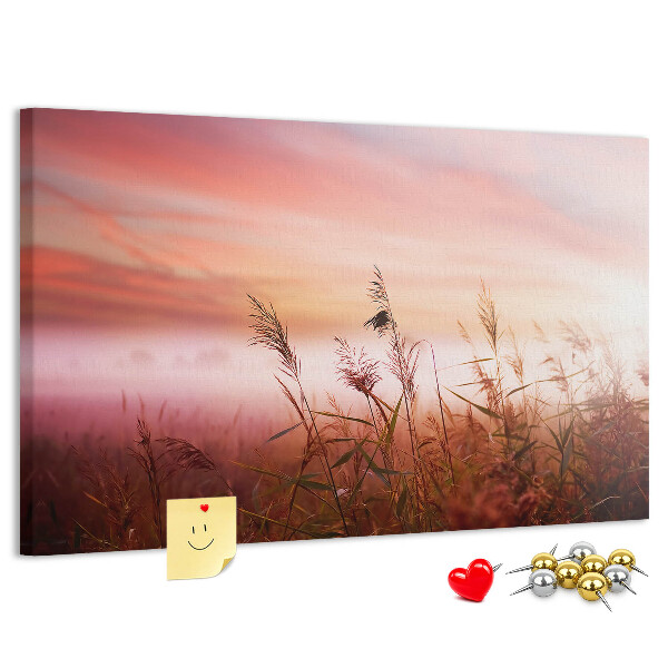 Tableau de liège Coucher de soleil sur un champ herbeux