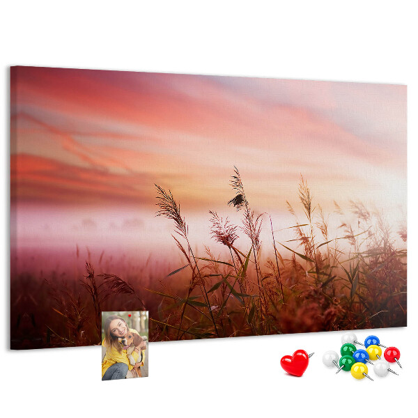 Tableau de liège Coucher de soleil sur un champ herbeux