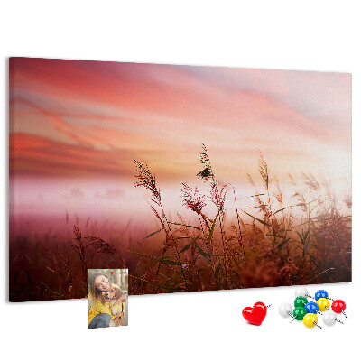 Tableau de liège Coucher de soleil sur un champ herbeux