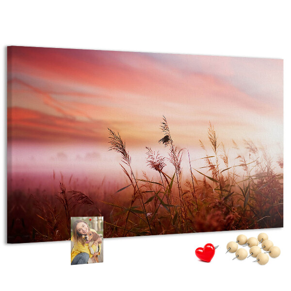Tableau de liège Coucher de soleil sur un champ herbeux