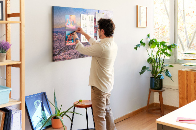 Tableau affichage liège Paysage printanier avec le mont Fuji