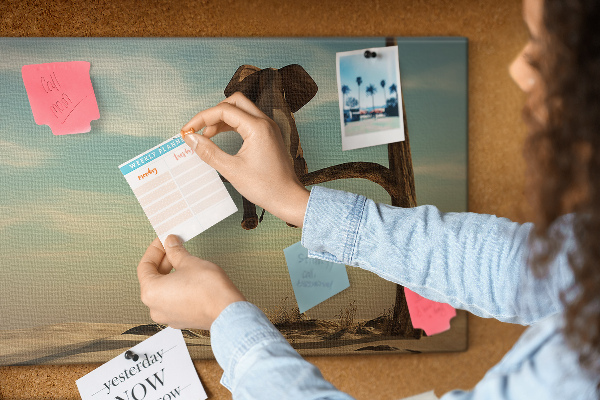 Tableau affichage liège Un éléphant sur une branche dans un paysage désertique