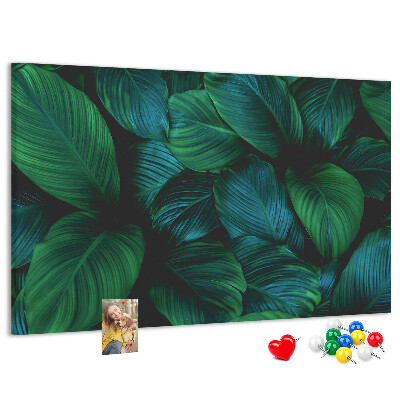 Tableau en liège Feuilles tropicales sur fond sombre