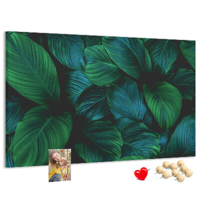 Tableau en liège Feuilles tropicales sur fond sombre