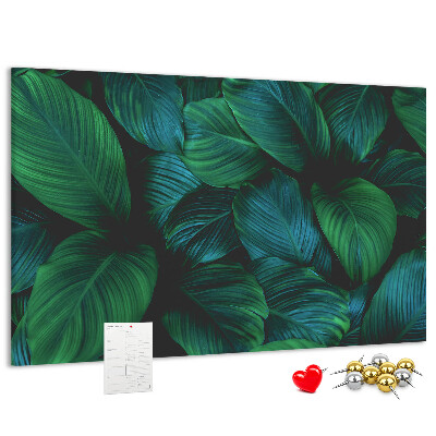 Tableau en liège Feuilles tropicales sur fond sombre