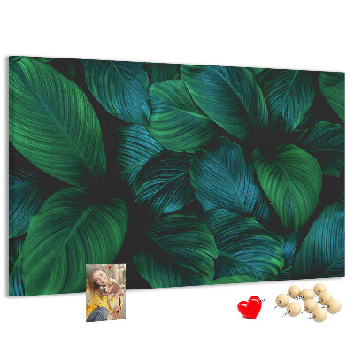 Tableau en liège Feuilles tropicales sur fond sombre