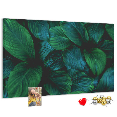 Tableau en liège Feuilles tropicales sur fond sombre