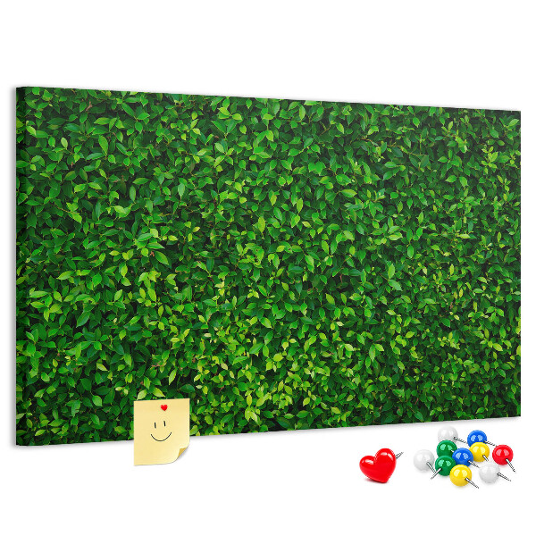 Tableau de liège Mur à motif de plantes vertes feuillues