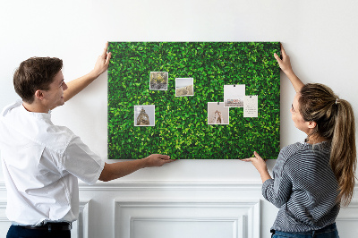 Tableau de liège Mur à motif de plantes vertes feuillues