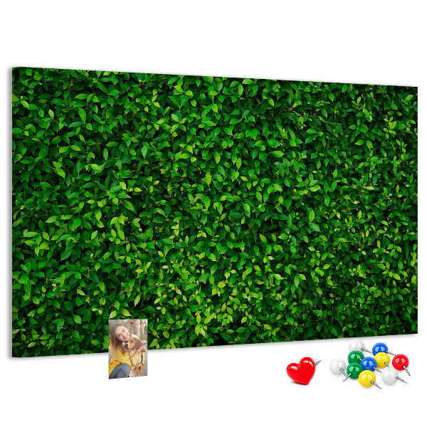 Tableau de liège Mur à motif de plantes vertes feuillues