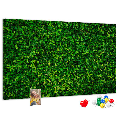 Tableau de liège Mur à motif de plantes vertes feuillues