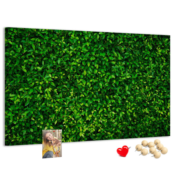 Tableau de liège Mur à motif de plantes vertes feuillues