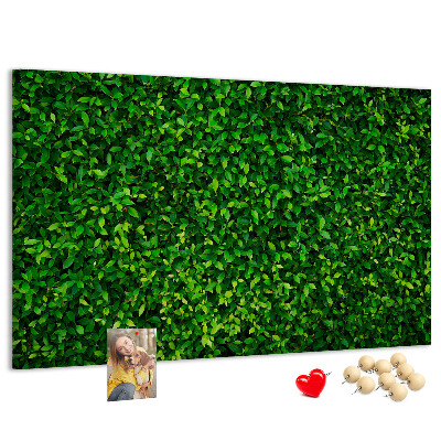Tableau de liège Mur à motif de plantes vertes feuillues